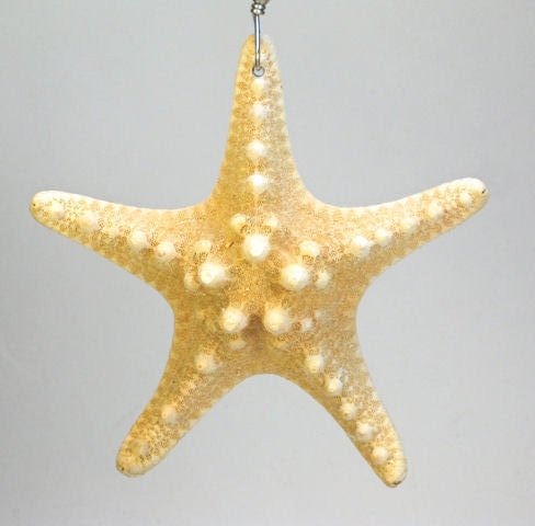 Natural Large Starfish and Turquoise Blue Glass Ceiling Fan Pull Chain - Coastal Beach Decor for Bedroom, Living Room, Porch