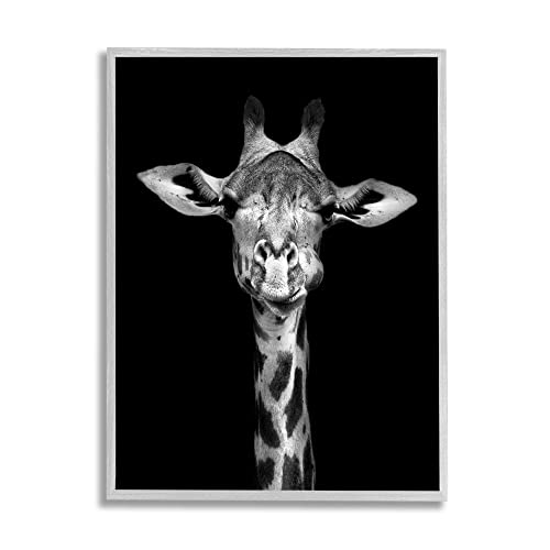 Gray Framed