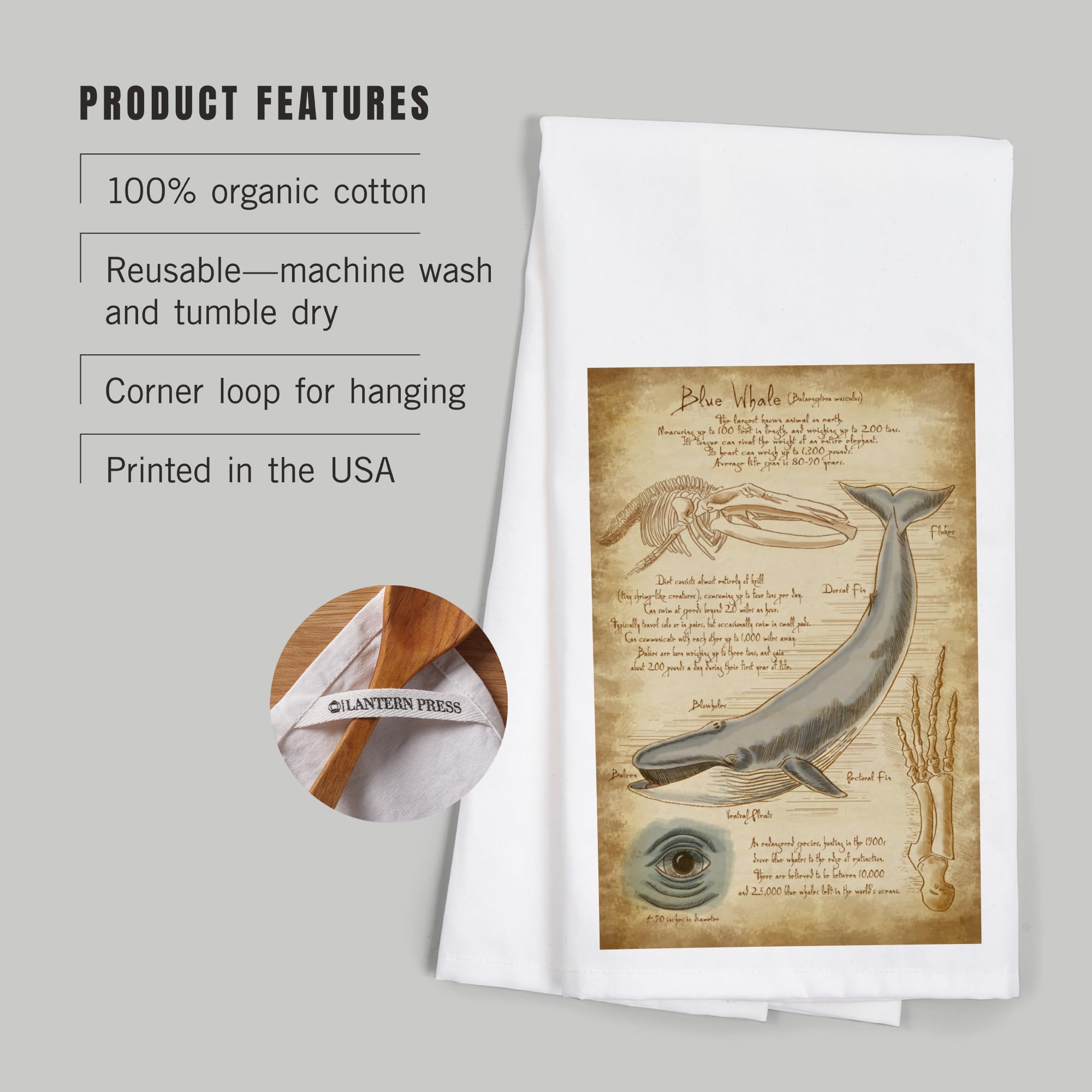 Lantern Press Blue Whale & Da Vinci 100% Cotton Tea Towel - Decorative Hand Towel for Kitchen, Bathroom & Home Decor - Perfect for Dish Drying, Gift Giving & Coastal Themed Decor