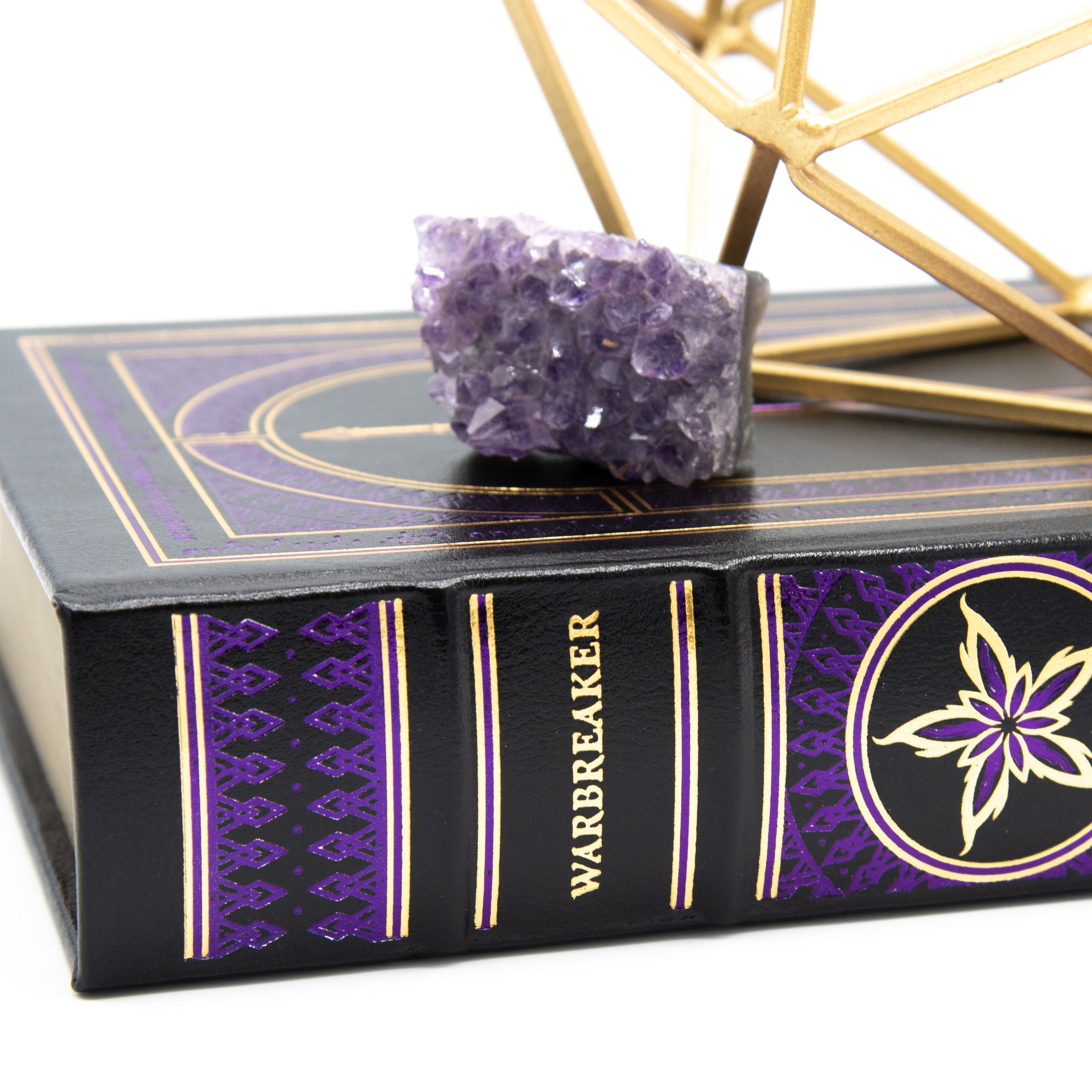 Signed Leatherbound Warbreaker Deluxe Dragonsteel Edition - Fantasy Novel Collector's Item for Book Lovers & Gift Giving