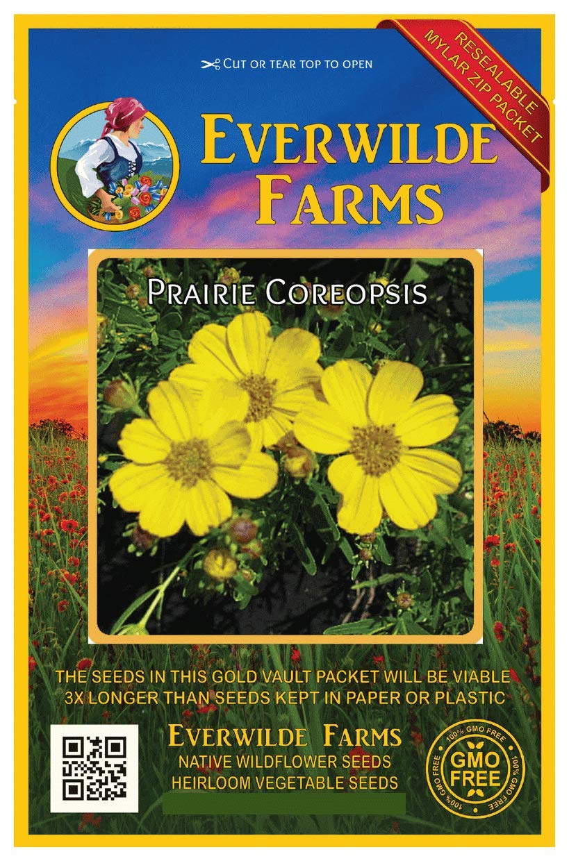 Everwilde Farms 150 Prairie Coreopsis Native Wildflower Seeds - Gold Vault Jumbo Seed Packet for Pollinator Gardens & Landscaping
