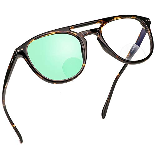 Sg_meadow_c2_tortoise