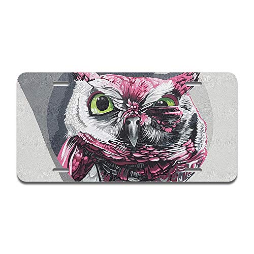 Owl Wink