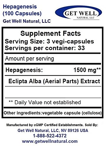 Hepagenesis Liver Support Supplement (100 Capsules) - Concentrated Herbal Blend for Detox & Liver Health - 3 Pack - Natural Dietary Supplement for Daily Wellness & Cleansing