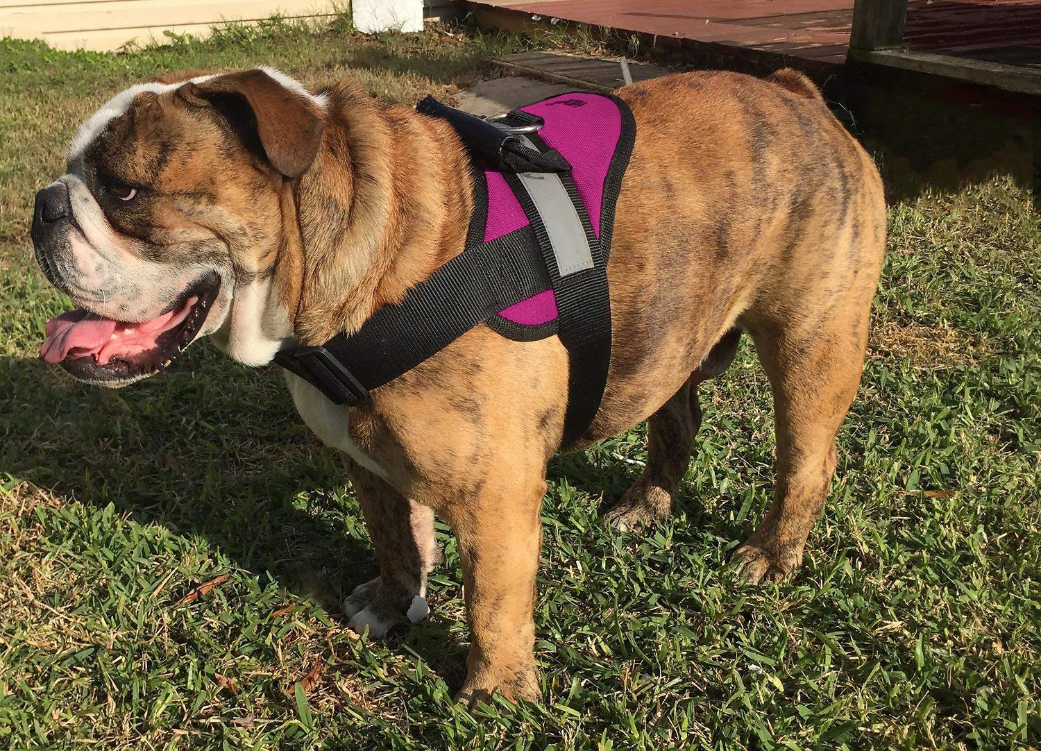 **No-Pull Soft Dog Harness for Large Dogs - Pink (HDP) | Comfortable & Secure Walking Harness for Big Breeds | Perfect for Training, Hiking & Daily Walks**