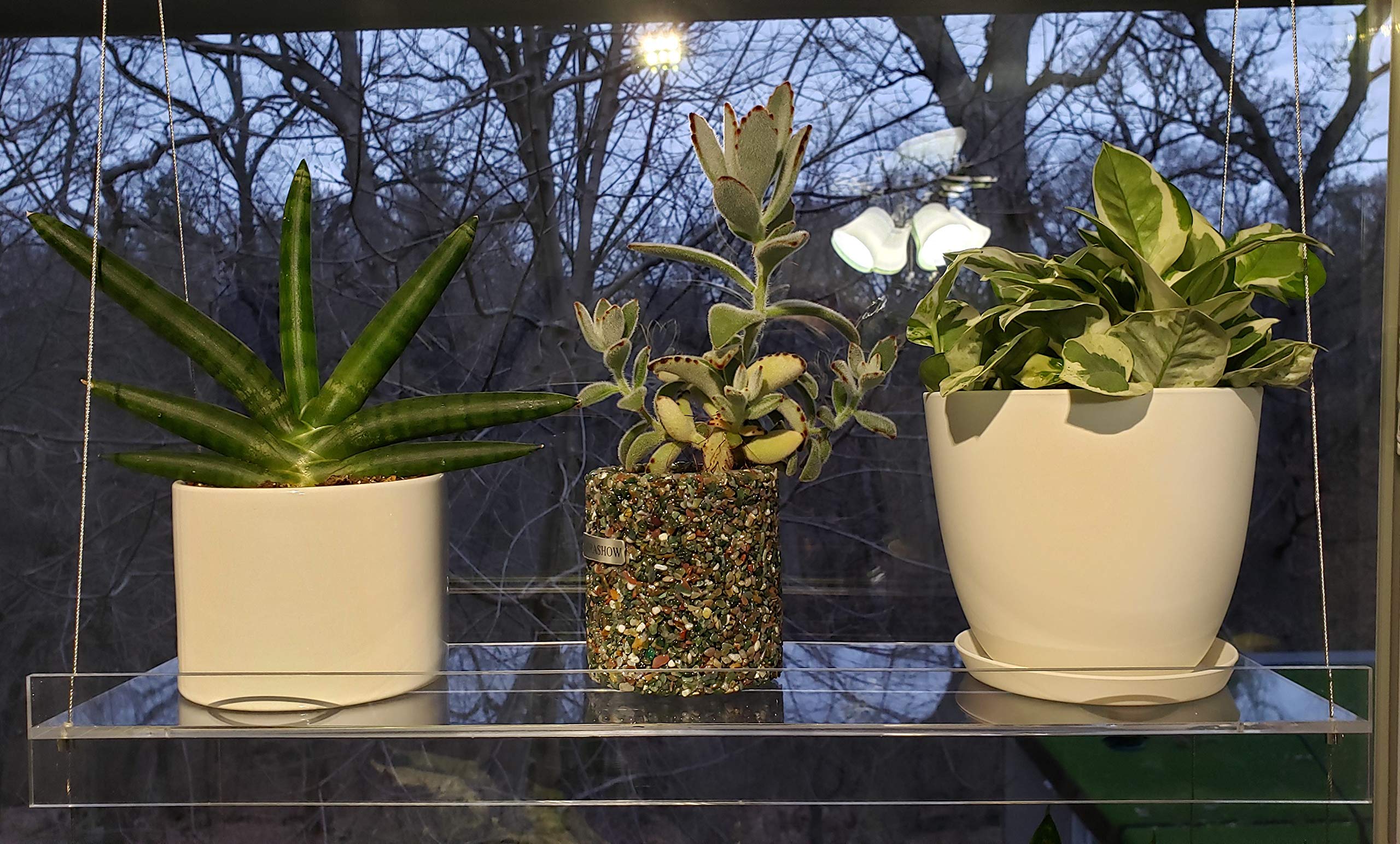 Clear Acrylic Window Shelves for Plants & Decor - 22