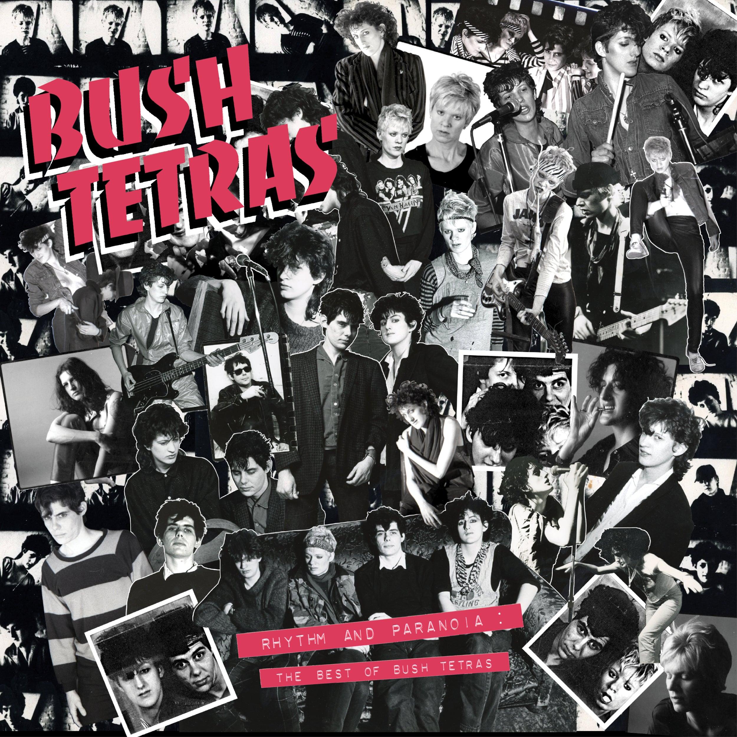Bush Tetras Rhythm & Paranoia: The Best of Bush Tetras (3LP + Book Box Set) – Limited Edition Vinyl Record Collection for Music Lovers & Collectors – Perfect for Home Listening, Gifts & Music Enthusiasts