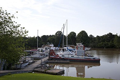 Vintage Boats at Marina - Tom Bevill Lock & Dam in Pickensville, Alabama | Tennessee-Tombigbee Waterway Scenic Photography | Perfect for Home Decor & History Enthusiasts