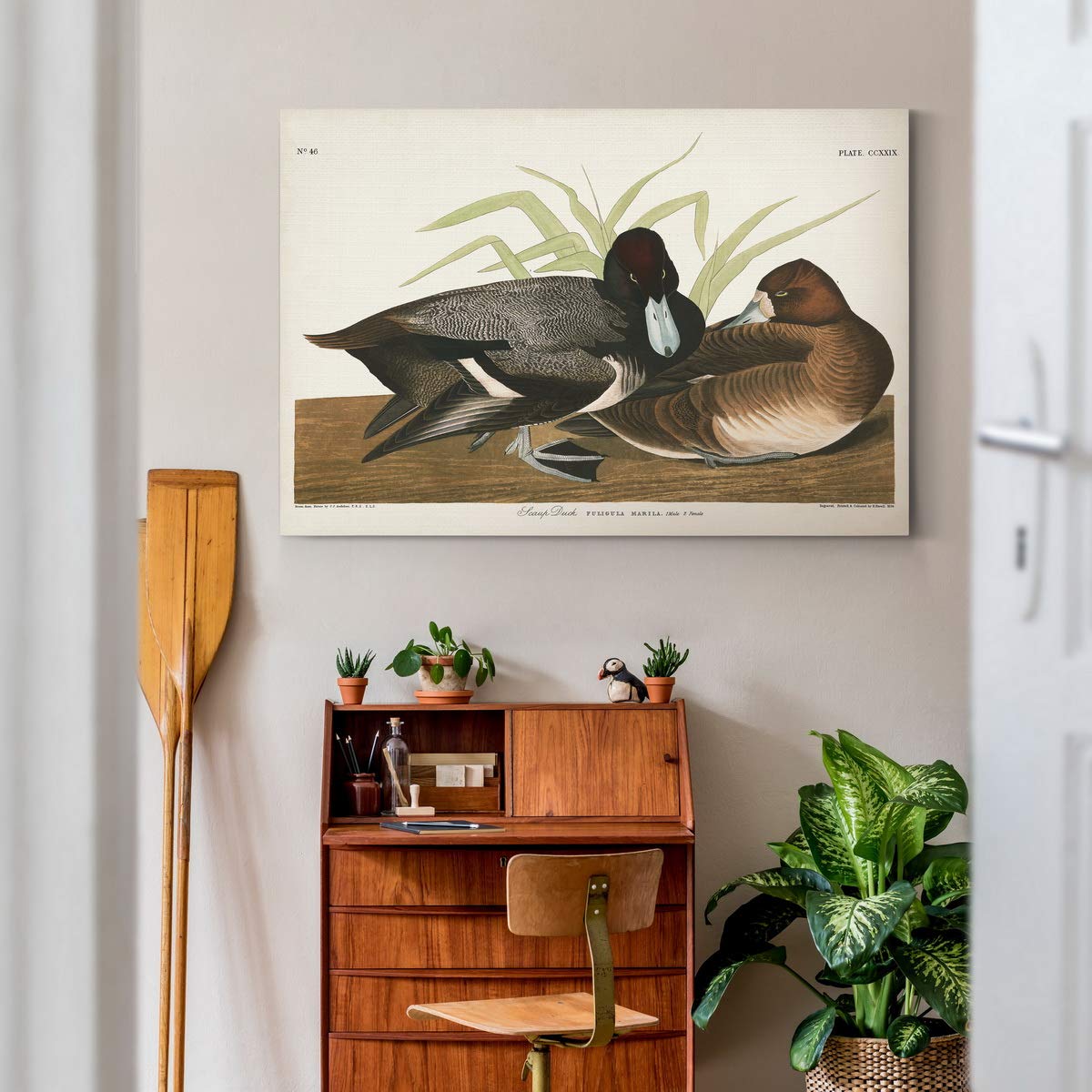 John James Audubon Scaup Duck Wall Art - Premium Gallery Wrapped Canvas Print, Bluebill Bird Decor, 32x48 Inches, Ready to Hang - Perfect for Living Room, Office or Nature-Themed Home Decor
