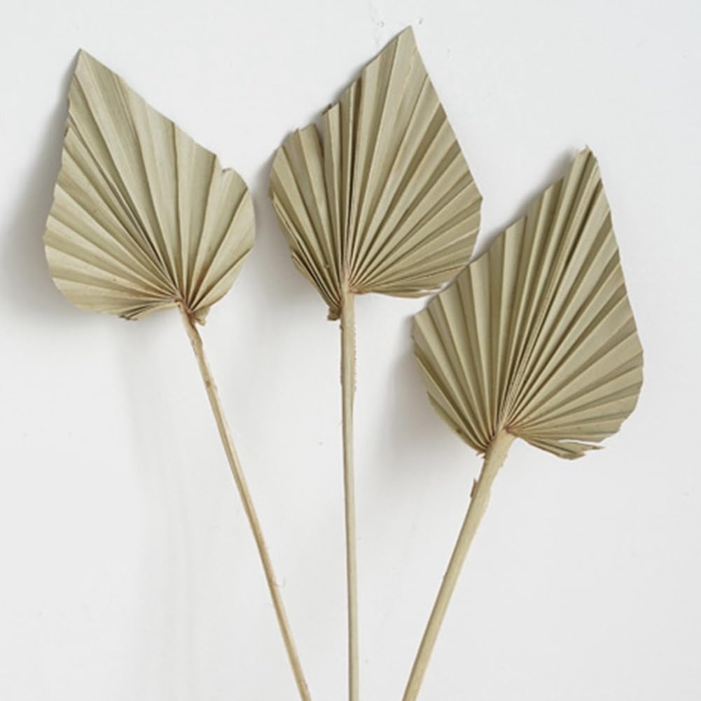 20Pcs Boho Dried Palm Spears Leaves - Natural Small Dried Palm Fans with Stems for Home Decor, Wedding Centerpieces, Vase Fillers and Tropical Themed Party Decorations