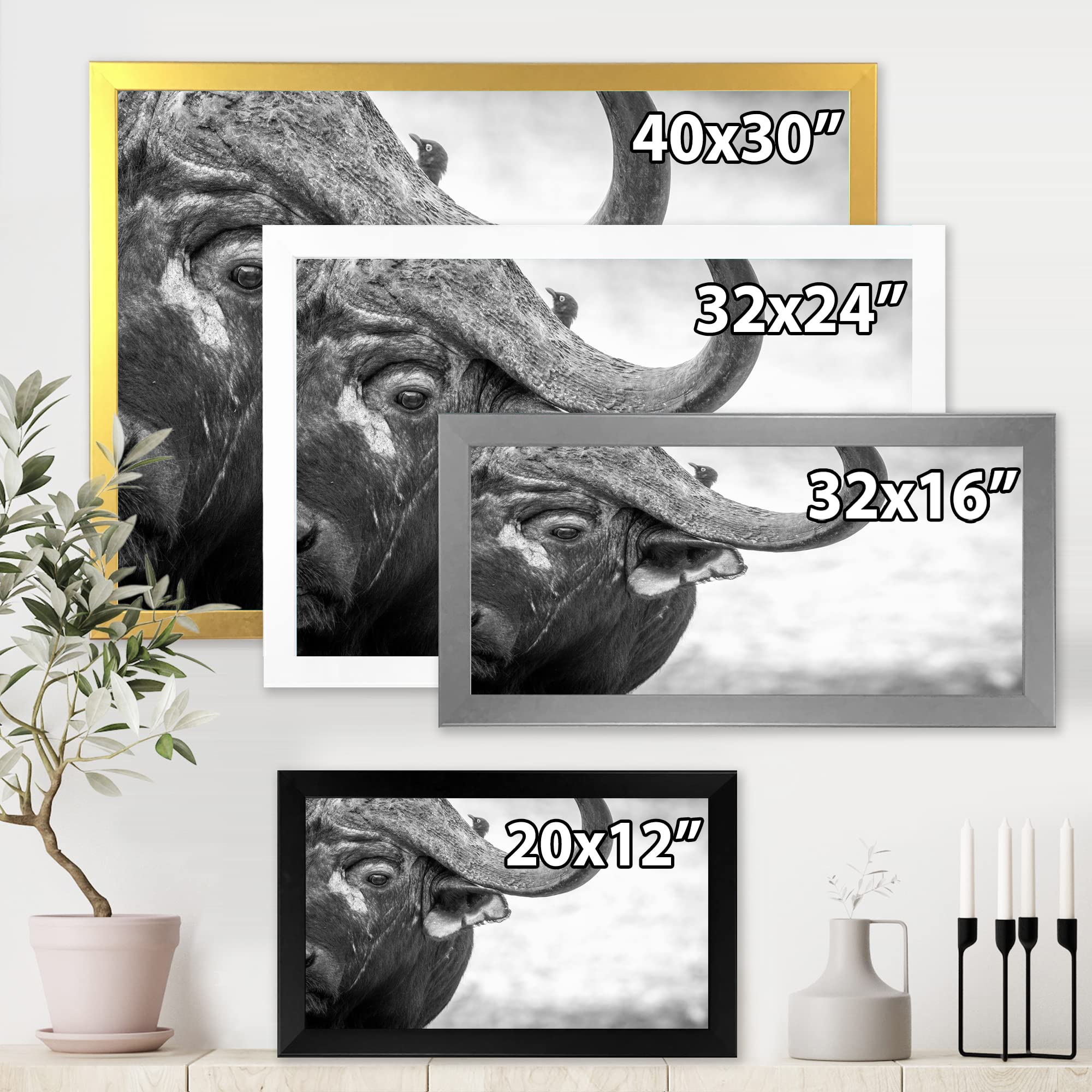 DesignQ Monochrome Buffalo Portrait III - Farmhouse Framed Wall Art Decor for Living Room, Bedroom & Office