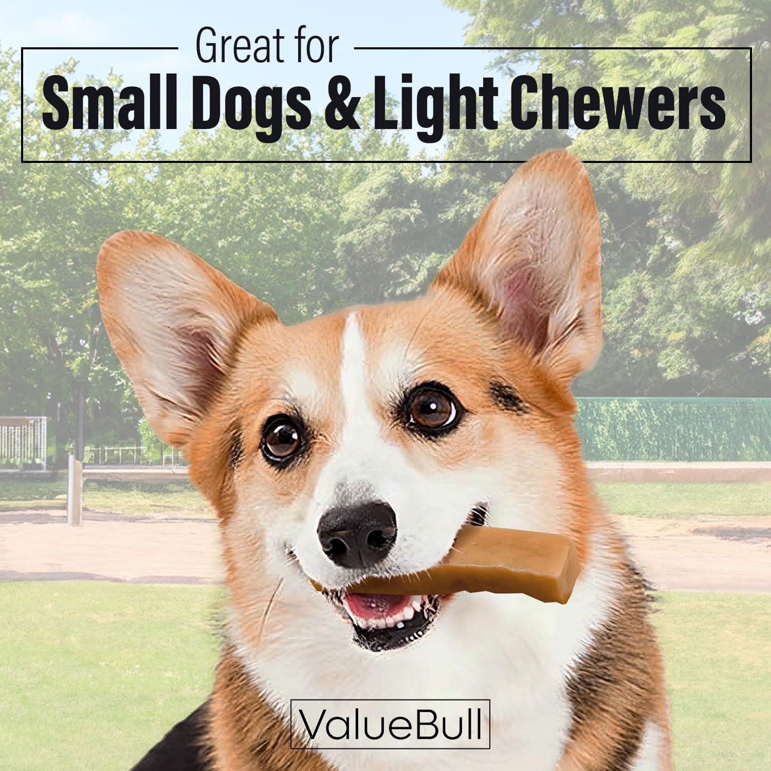 ValueBull Himalayan Yak Cheese Dog Chews for Aggressive Chewers - All Natural, Healthy & Safe, Low Odor, Long-Lasting Treats - Made in Nepal with Yak Milk - Perfect for Training, Dental Health, and Strong Chewers (Small, 4 lb)