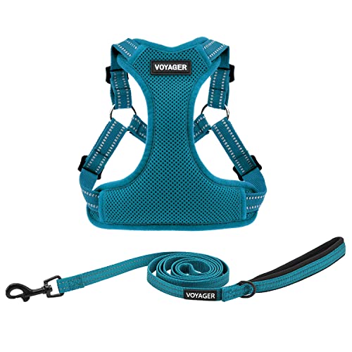Harness Leash Set (Turquoise)