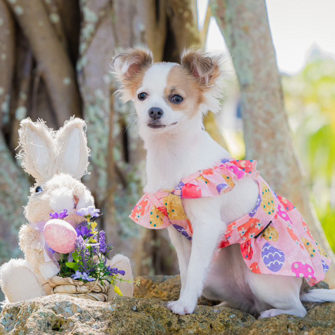 Easter Egg Pink Dress for Women - Floral Spring Party Dress - Perfect for Easter, Spring Celebrations & Special Occasions