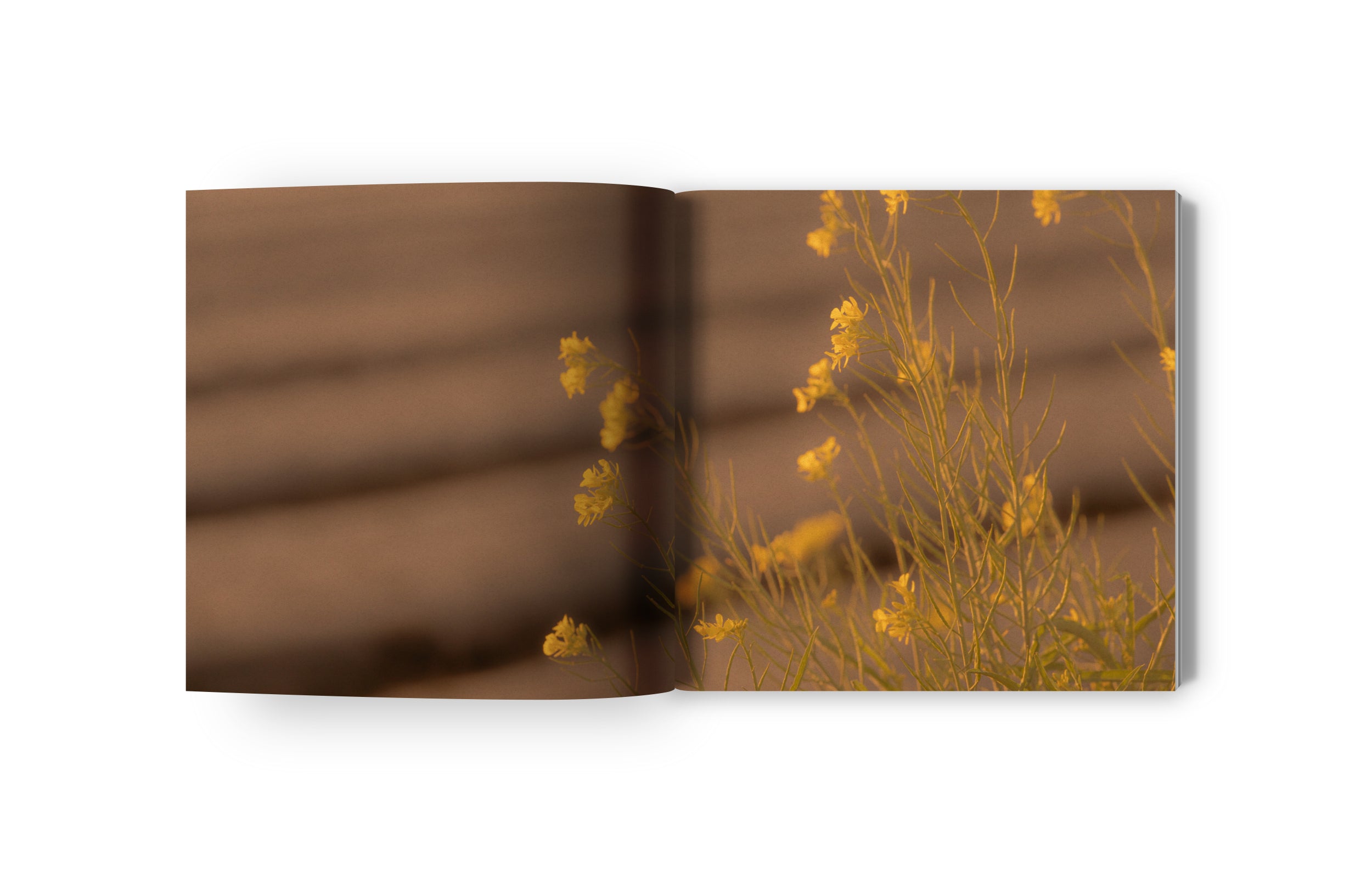 NATURE´S MUSE Tranquil Artistry Wall Decor - Sustainable Home Decor for Eco-Friendly Living - Perfect for Living Rooms, Bedrooms & Meditation Spaces