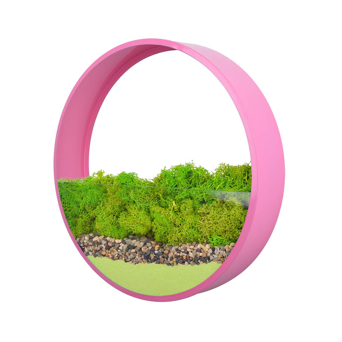 Ecosides 12
