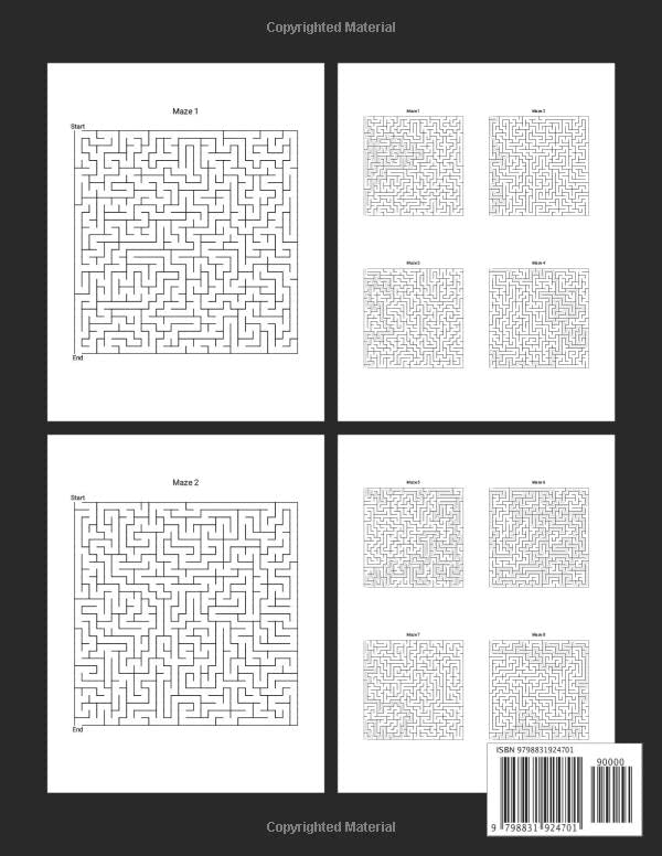 Adult Maze Puzzle Book - Challenging Brain Games for Stress Relief & Fun | Perfect for Relaxation, Travel & Gifts