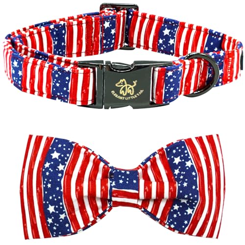 American Flag B