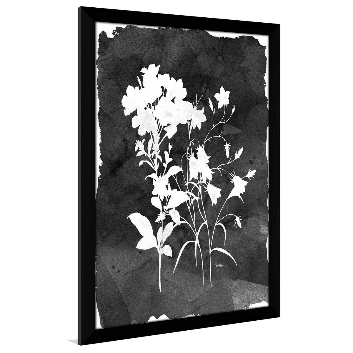 Black Botanical II by Carol Robinson - Premium Acrylic Wall Art Print - Modern Home Decor for Living Room, Bedroom & Office