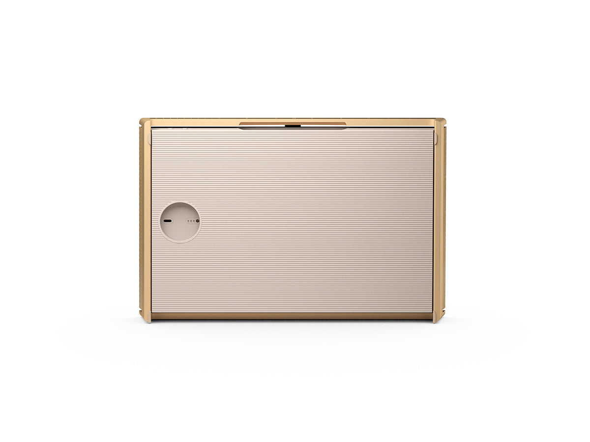 Bang & Olufsen BeoSound Level Wireless Speaker - Premium Bluetooth Speaker with Hi-Fi Sound, Multiroom Connectivity & Google Assistant Free - Perfect for Home, Office & Outdoor Use
