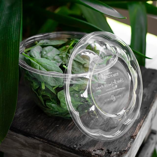 World Centric SBL-CS-32 Compostable Ingeo Salad Bowl Lids - Clear Dome Lids for 24-48 oz Bowls (Pack of 600) | Eco-Friendly Food Storage for Restaurants, Catering & Takeout