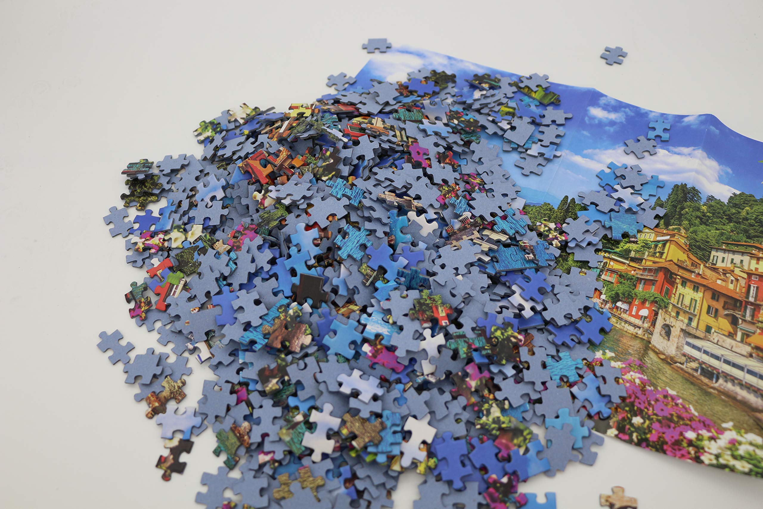 1000 Piece Jigsaw Puzzles for Adults and Kids - Large 27.2
