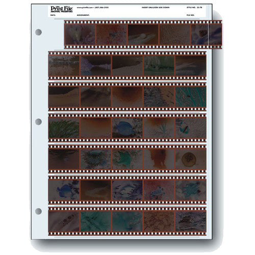 35mm Negative Storage Pages - Archival Quality Print File Sleeves (25 Pack) | Perfect for Photo Albums, Film Preservation & Organizing Old Negatives