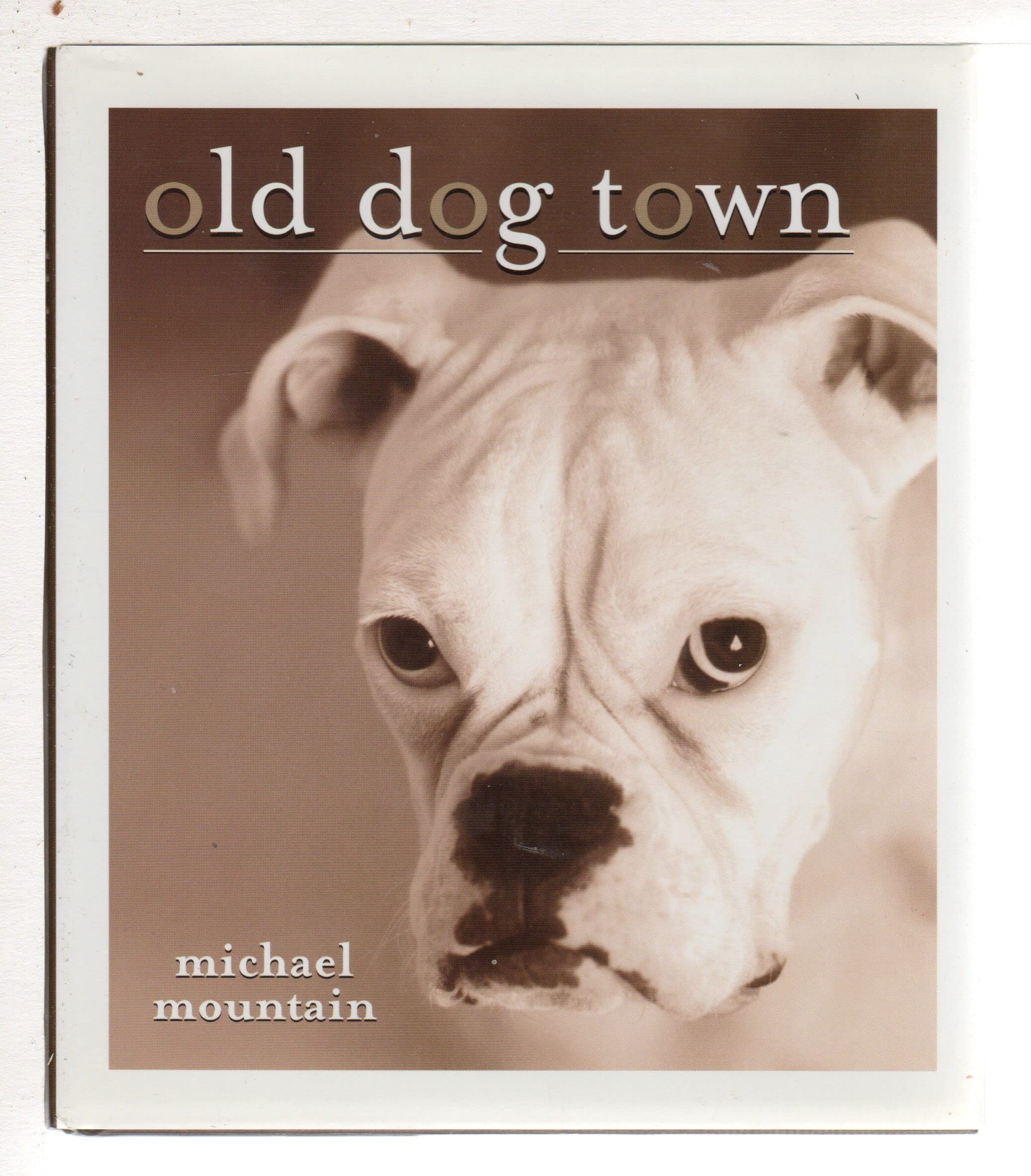 Old Dog Town - Premium Pet Supplies & Accessories for Senior Dogs | Comfortable Beds, Toys & Grooming Essentials for Aging Pets | Perfect for Home, Travel & Outdoor Adventures