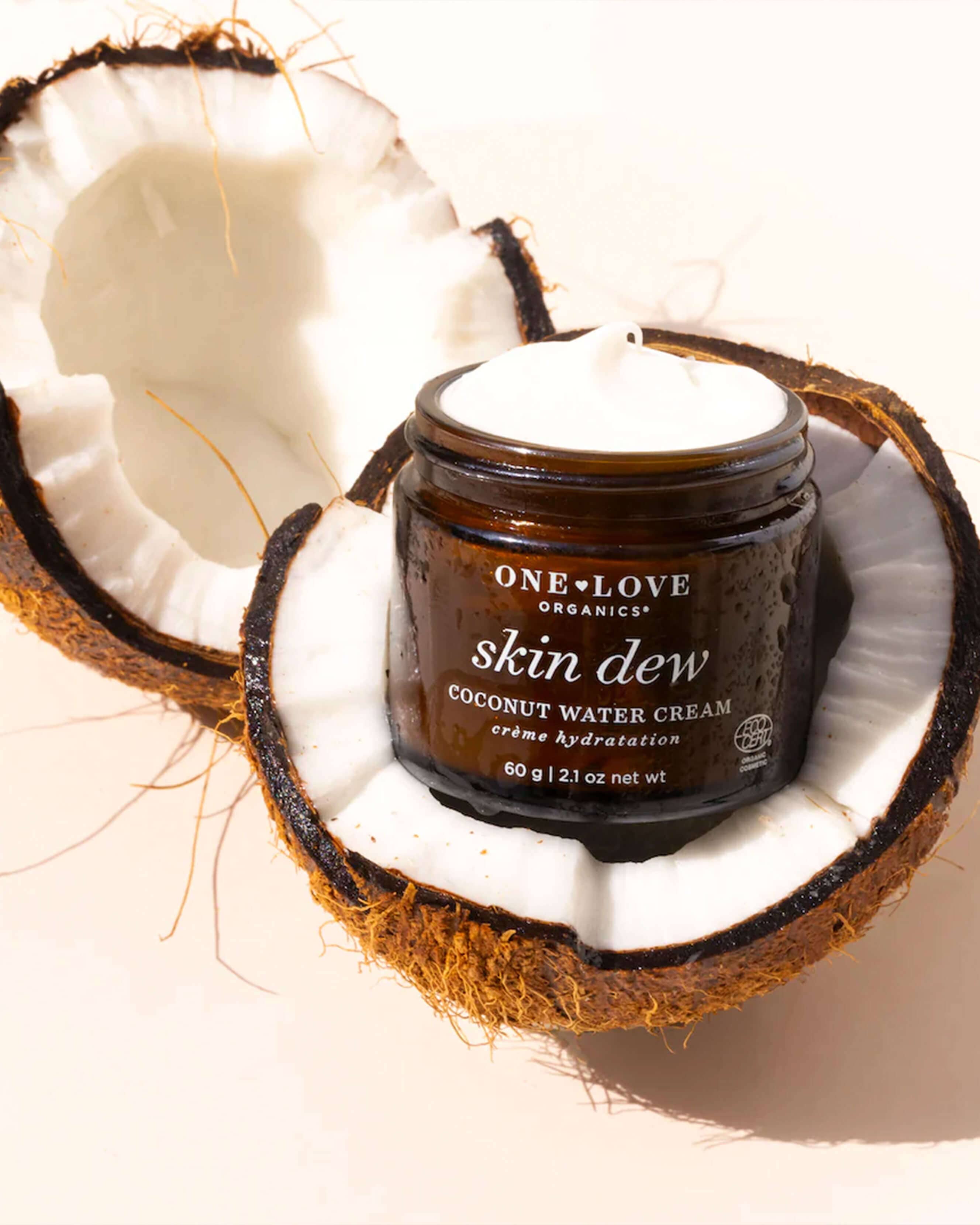 Hydrating Skin Dew Coconut Water Cream - Moisturizing Face Cream for Dry & Sensitive Skin | Day & Night Use for Glowing Complexion