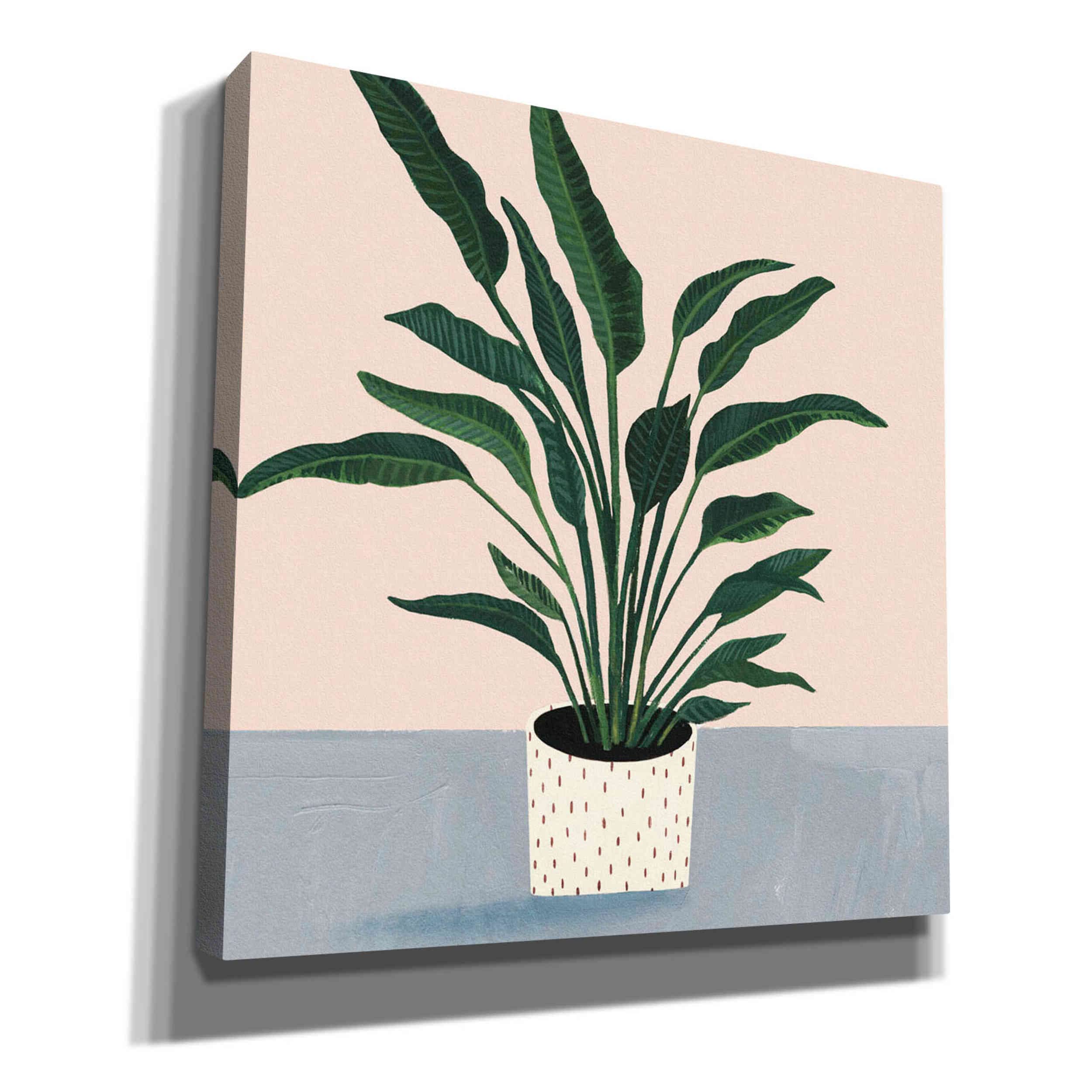 Victoria Borges 'Houseplant IV' 37x37 Inch Canvas Wall Art - Modern Botanical Home Decor for Living Room, Bedroom & Office