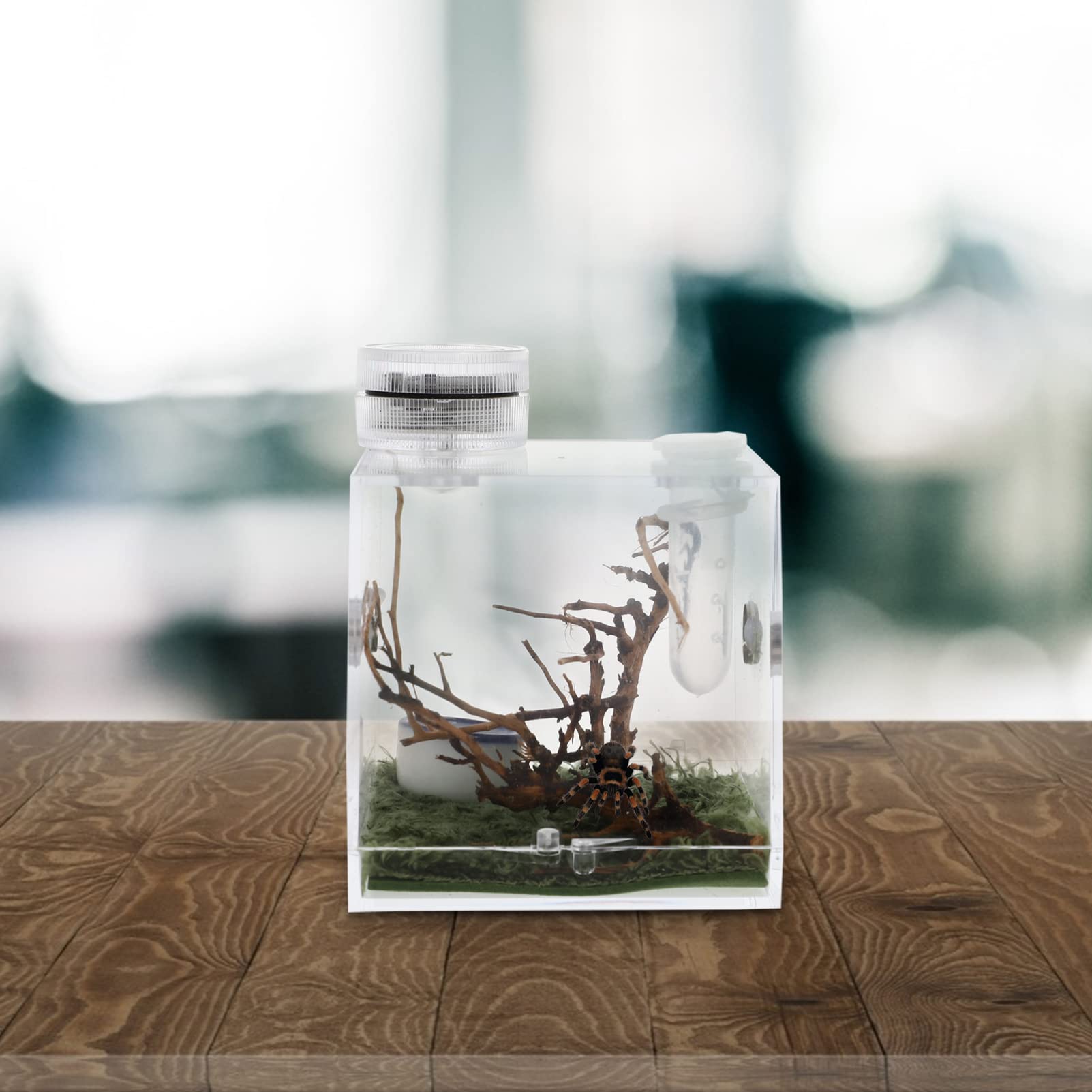 Premium Acrylic Reptile Terrarium with Built-in LED Light - 20 Gallon Transparent Spider Enclosure Habitat for Tarantulas, Lizards & Small Pets - Perfect for Home, Office or Classroom Display
