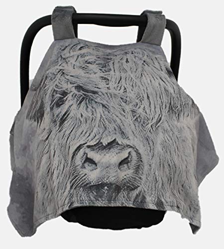 Gray Highland Cow