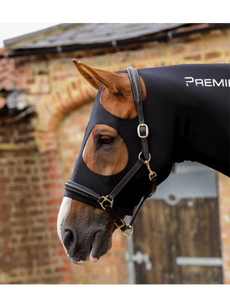 Premium Stretch Lycra Horse Hood - Breathable & Durable Equestrian Riding Gear for Training & Show Jumping