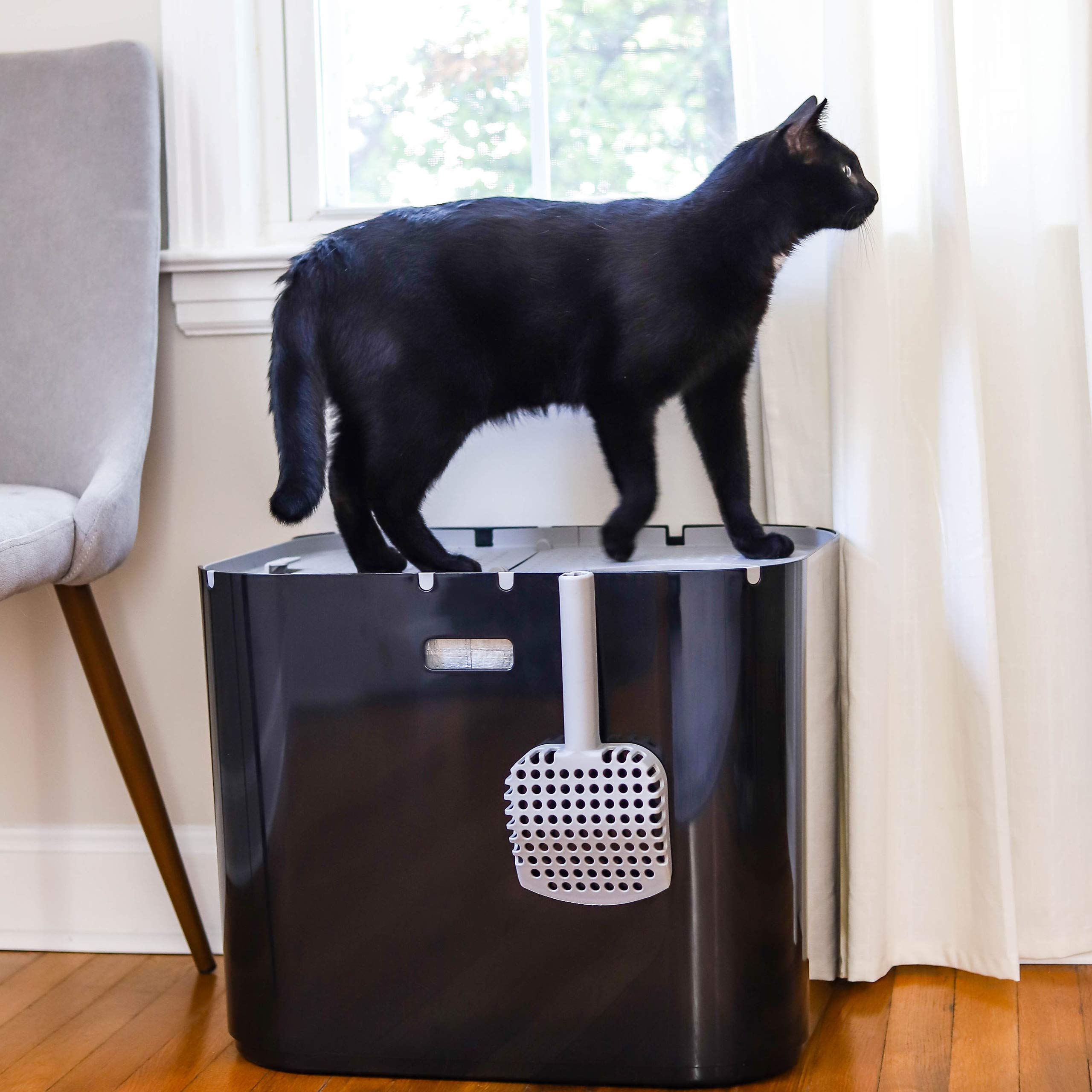 Modkat XL Litter Box - Extra Large Covered Cat Litter Box with Top & Front Entry - Reusable Liners & Tall Base to Contain Mess - Easy Clean Black Cat Toilet for Indoor Cats | Perfect for Small Spaces & Multi-Cat Homes