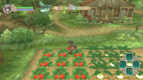 Rune Factory: Frontier - Nintendo Wii Game - Fantasy Farming & Adventure RPG for Family Fun & Relaxing Gameplay
