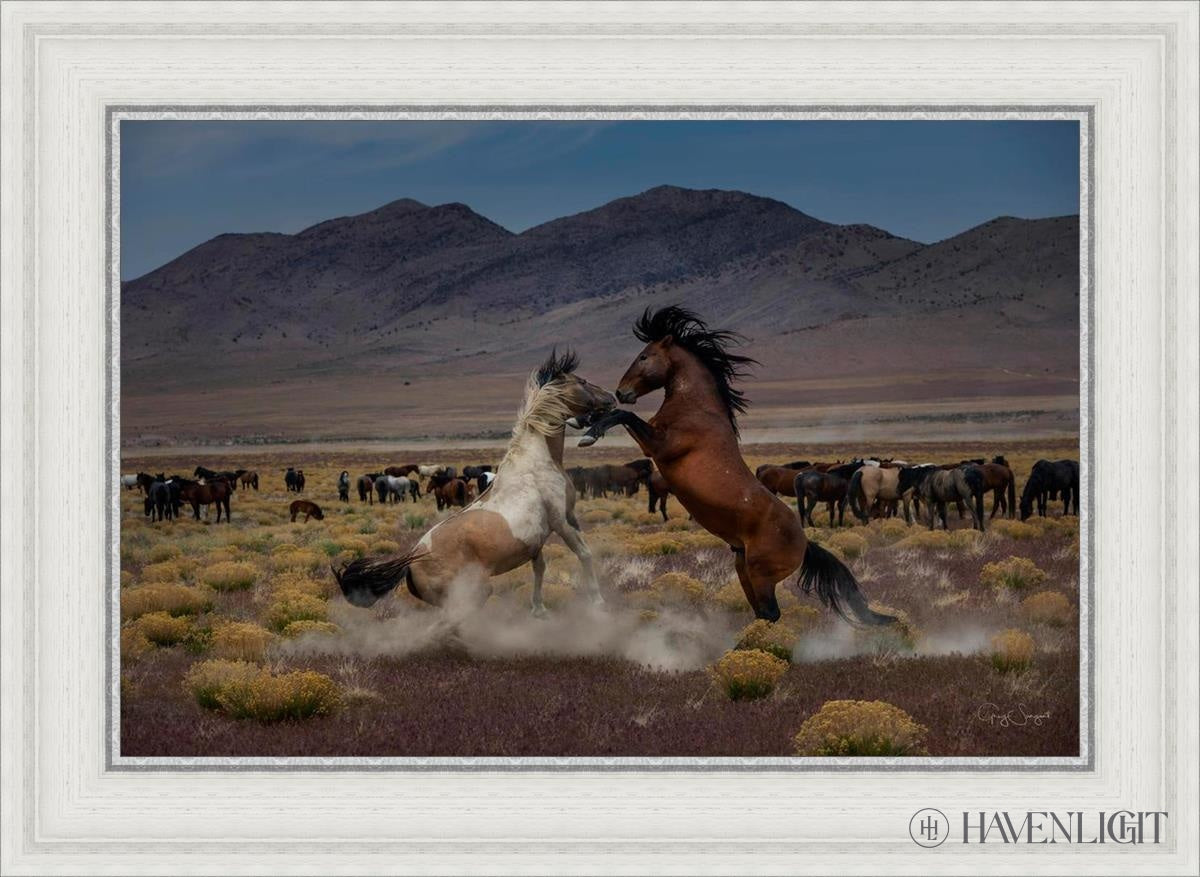 Desert Duel 5 by Greg Sargent - Western Action Novel - Perfect for Book Clubs & Cowboy Adventure Fans