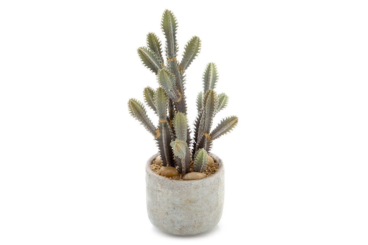 Artificial Desert Cactus Plant - 12.6