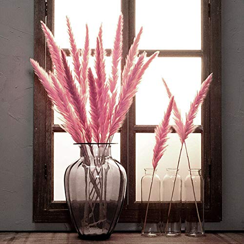 15 Pcs Pink Dried Pampas Grass Decor for Home, Wedding & Party