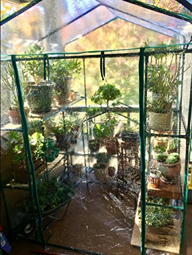 Home-Complete 56 x 56 x 76-Inch Walk-in Greenhouse with 8 Sturdy Shelves & PVC Cover - Indoor/Outdoor Plant Growing Tent for Herbs, Vegetables & Flowers - Perfect for Backyard Gardening, Urban Farming & Winter Plant Protection