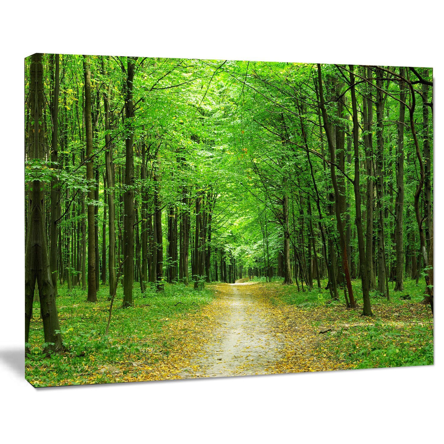 Green Forest Pathway Landscape Photography Canvas Print - Nature Wall Art for Living Room, Bedroom & Office Decor