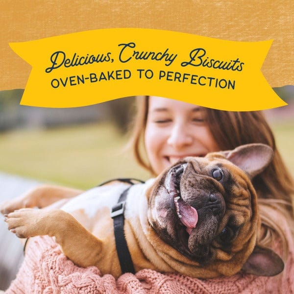 Natural Balance Crunchy Dog Biscuits with Real Duck Recipe - 14oz Bag - Grain-Free Treats for Small & Large Dogs - Perfect for Training & Rewarding Pets