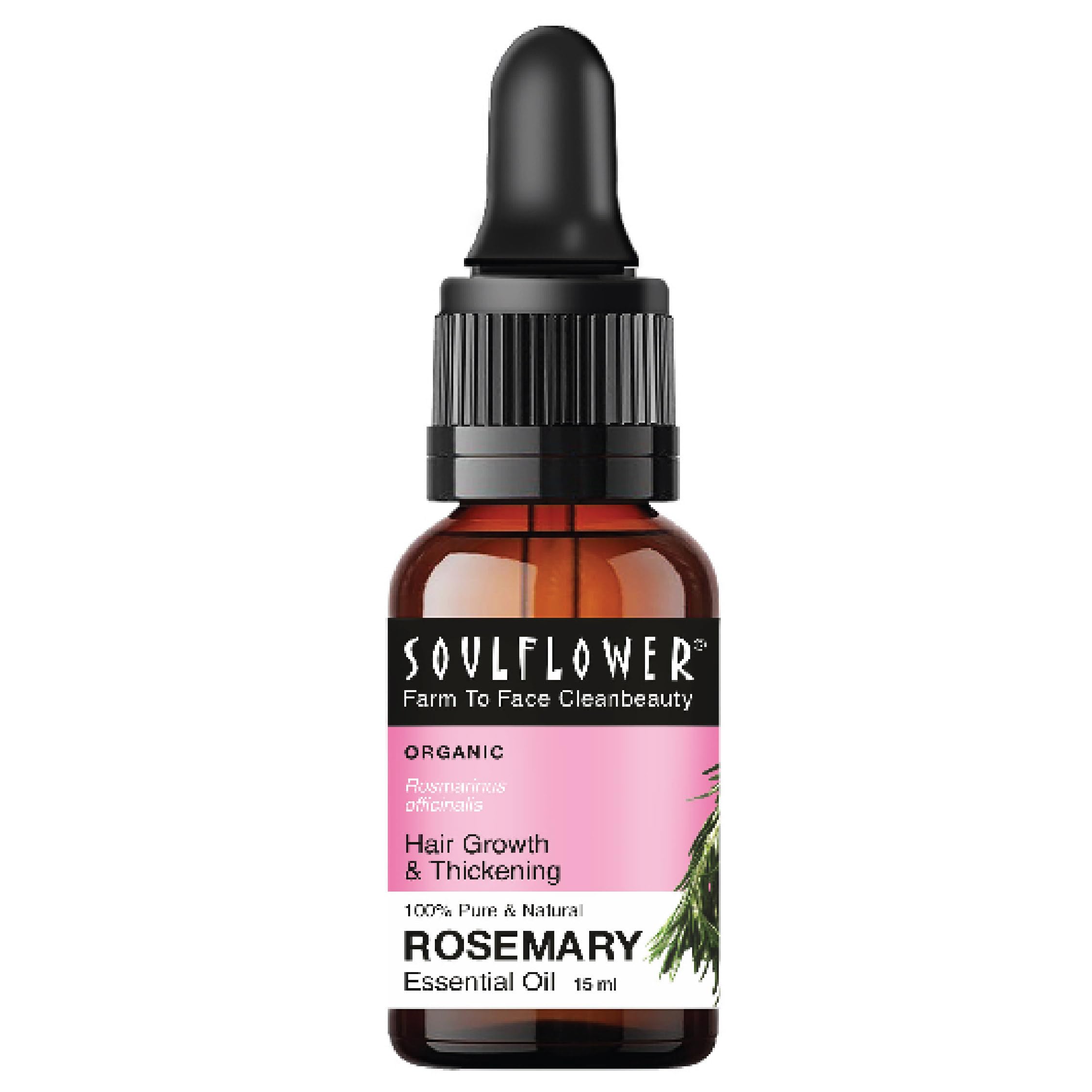 Organic Rosemary Essential Oil for Hair Growth & Skin Care - 100% Pure, Natural, Undiluted, Clinically Tested & Ecocert Certified | Promotes Healthy Hair, Reduces Hair Fall & Nourishes Scalp | Perfect for Aromatherapy, Massage & DIY Beauty Recipes (15ml)