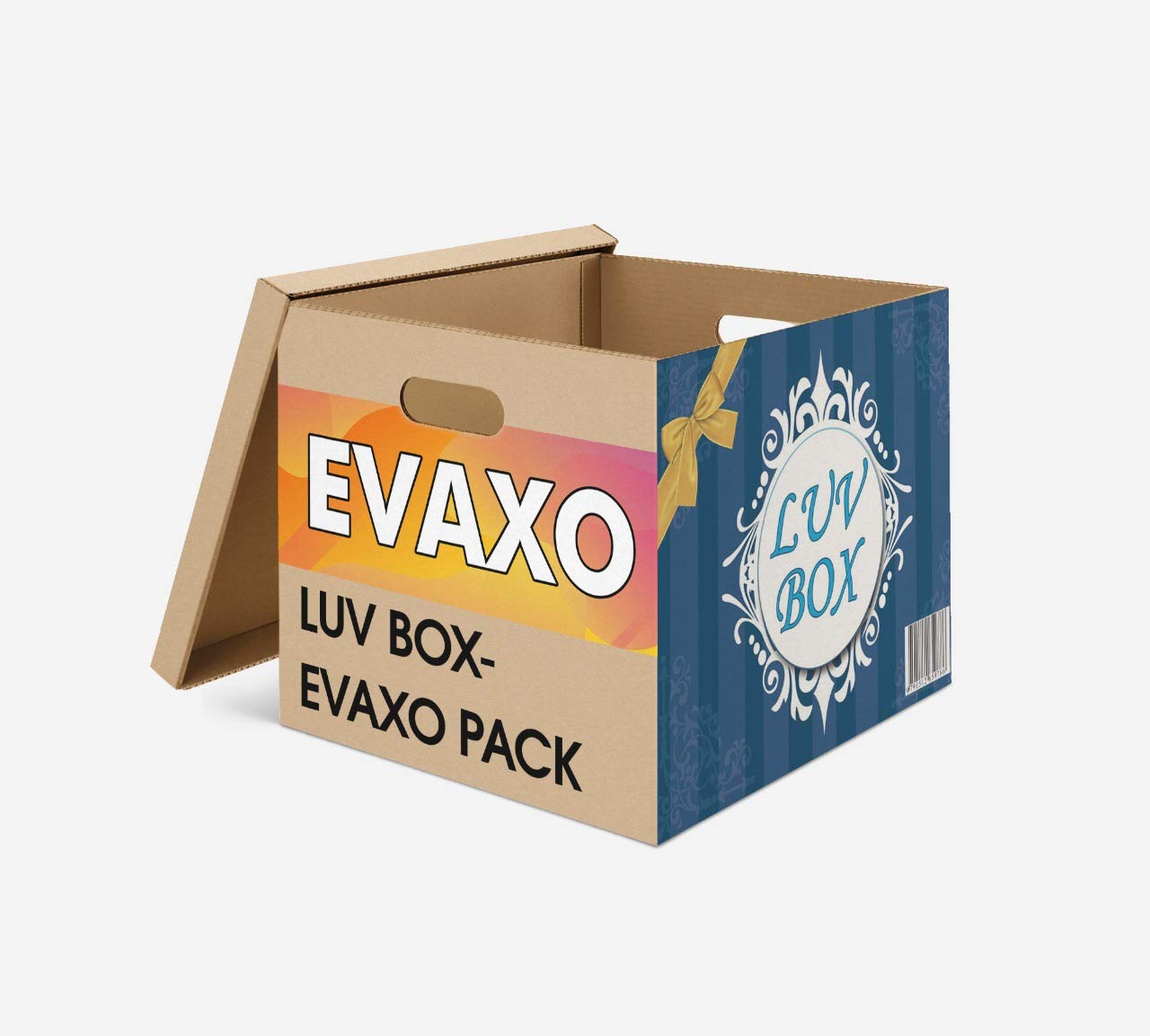 LUV-BOX Variety Pack of 24 Fruit Flavored Drink Pouches - 10.1 fl oz (Big Berry Blast, Edgy Orange Burst, Epic Apple Flip, Rad Raspberry Zing) | Perfect for School Lunches, Sports Events & On-the-Go Refreshment