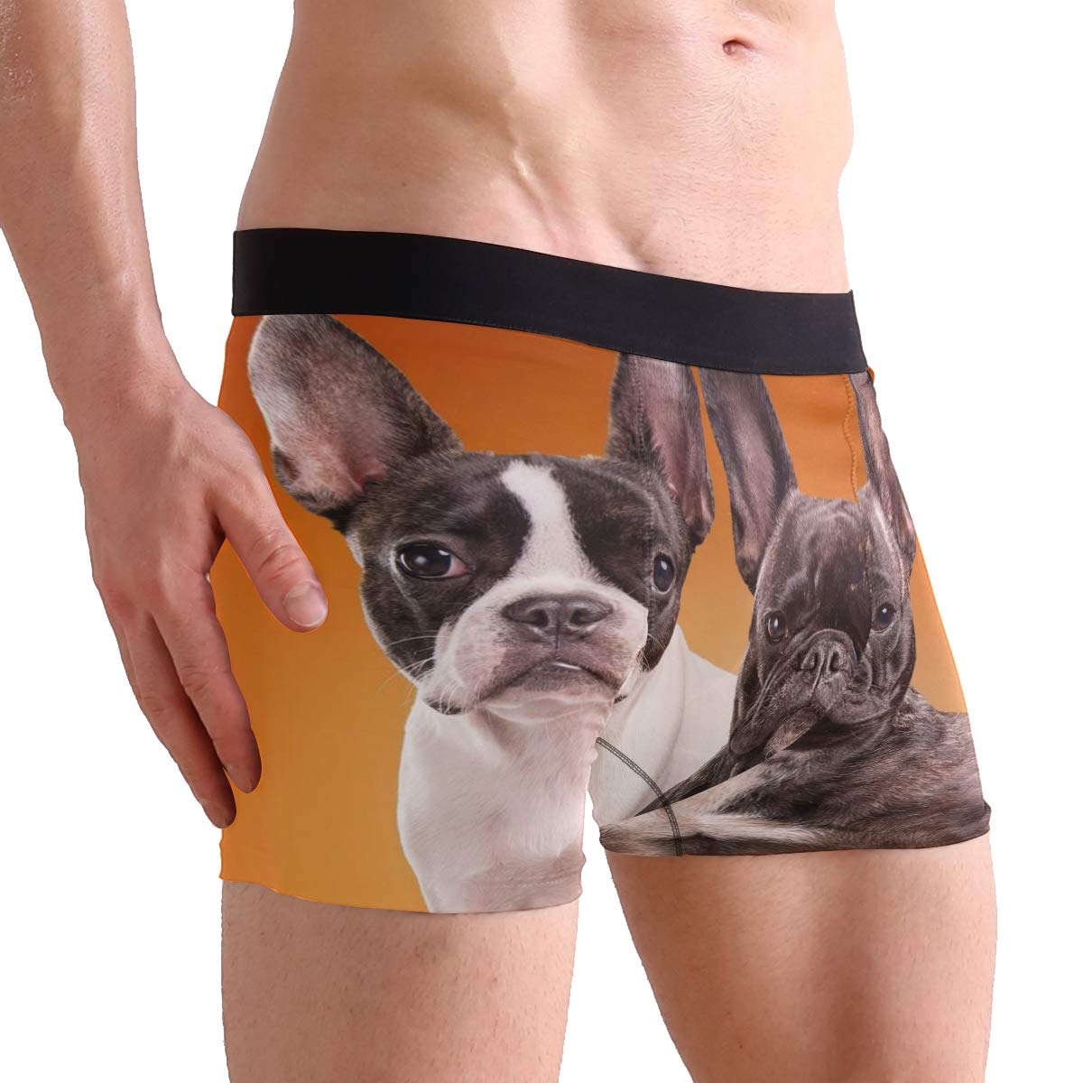 Funny French Bulldog Boxer Briefs for Men - Soft Cotton Underwear with Comfortable Waistband - Perfect for Casual Wear, Gym, and Everyday Use