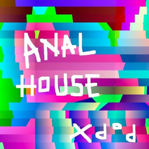 Anal House Vinyl LP - High-Quality Electronic Dance Music Record for DJs & Collectors | Perfect for Clubs, Home Listening & Music Production