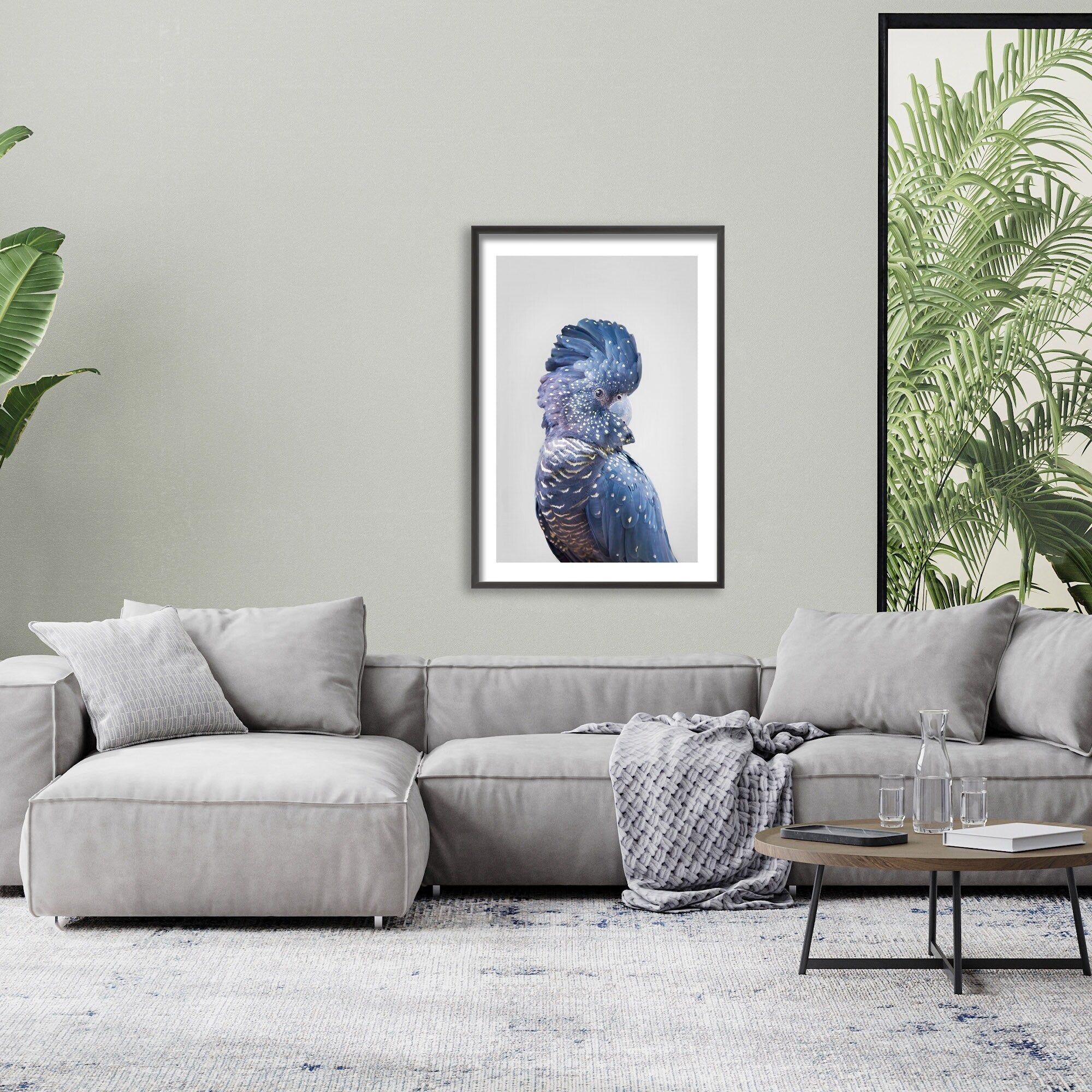 Black Cockatoo Framed Wall Art Print by Kathrin Pienaar - Australian Wildlife Home Decor for Living Room, Bedroom & Office