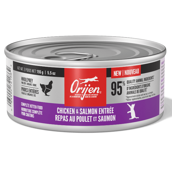 Orijen Chicken & Salmon Entrée Canned Kitten Food - High Protein Grain-Free Wet Cat Food for Kittens - Perfect for Growing Cats & Picky Eaters