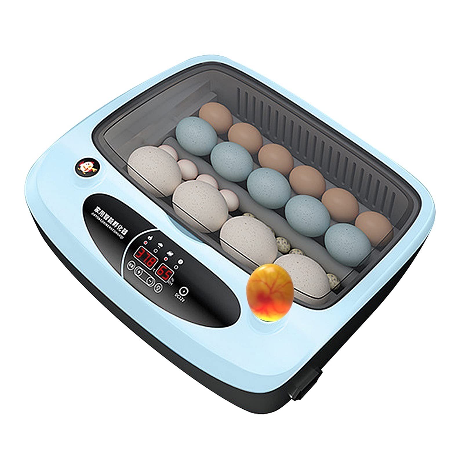 YAWEDA 24 Eggs Digital Automatic Poultry Incubator with LED Light, Temperature Control & Auto Egg Turner - Perfect for Hatching Chicken, Duck, Goose, Quail Birds (Blue) | Ideal for Home Farms, Backyard Poultry Breeding & Classroom Science Projects