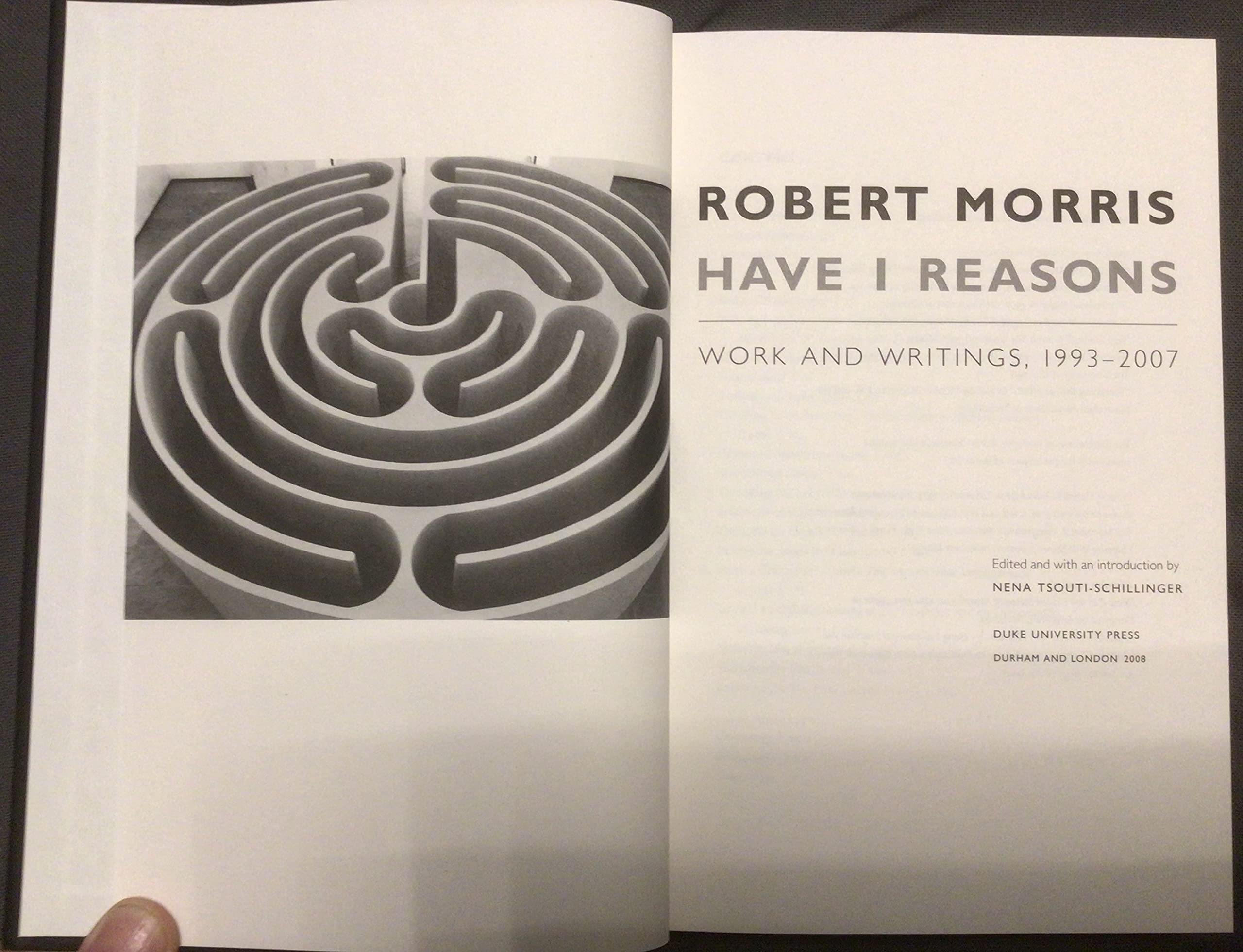 Have I Reasons: Work and Writings, 1993-2007 | Poetry Collection & Literary Essays | Perfect for Book Clubs, Academic Study & Poetry Lovers