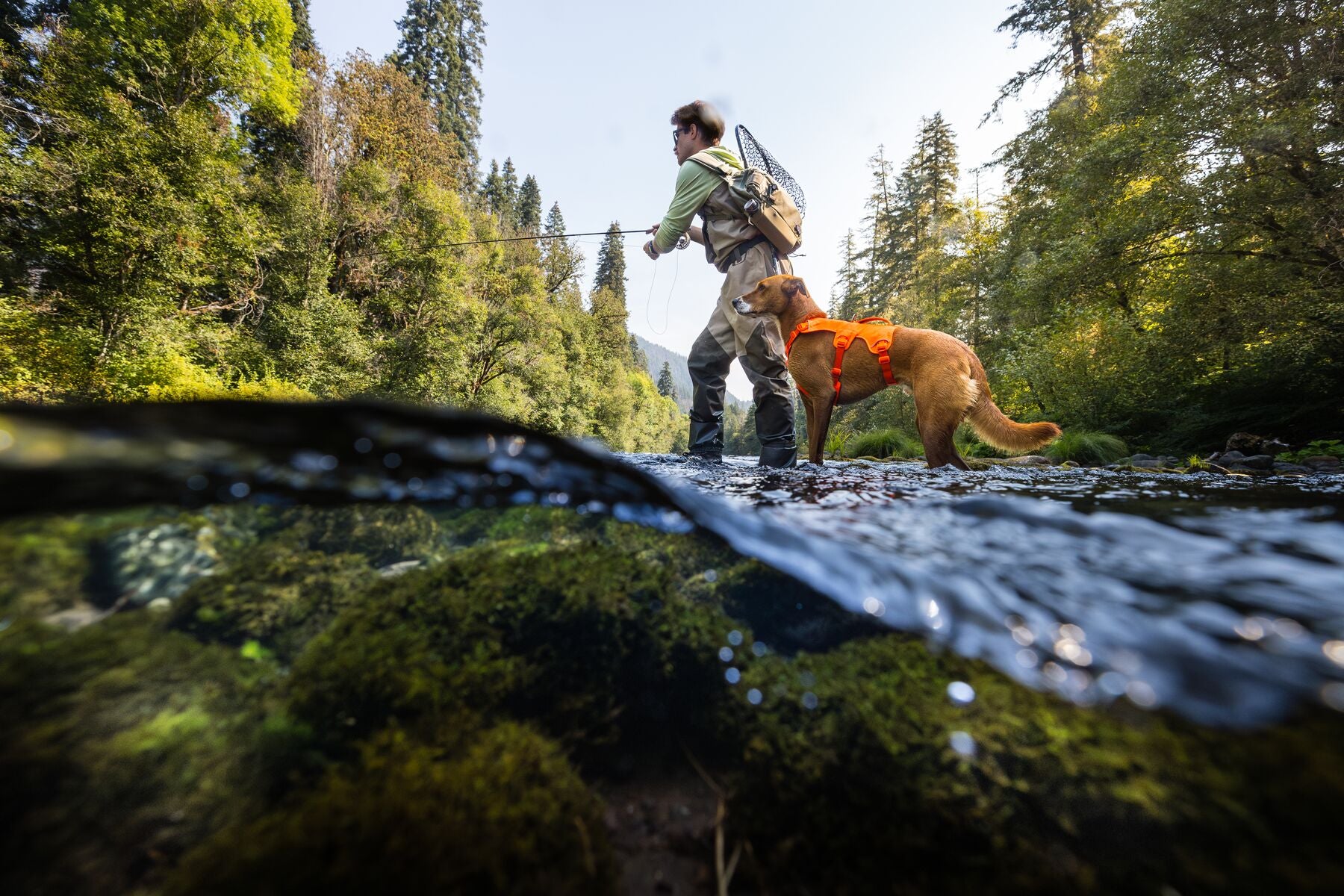 Ruffwear® Web Master™ Multi-Use Harness with Handle & Anti-Pull System - Red Canyon for Hiking, Running & Outdoor Adventures with Your Dog